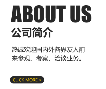 公司簡(jiǎn)介